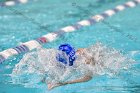 Swimming & Diving vs Babson  Swimming & Diving vs Babson College. - Photo by Keith Nordstrom : Wheaton, Swimming